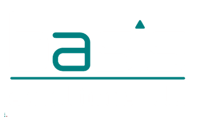Basis Solutions
