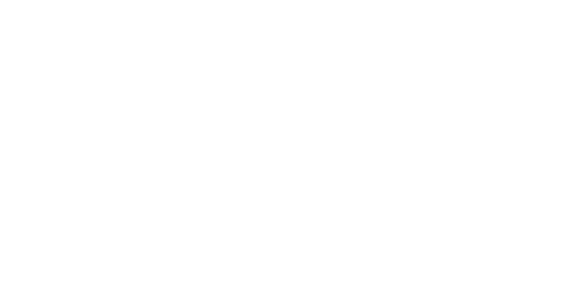 Lone Star Rubber