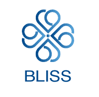 Bliss Electronic Co Ltd