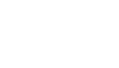 Thomas Steel Inc