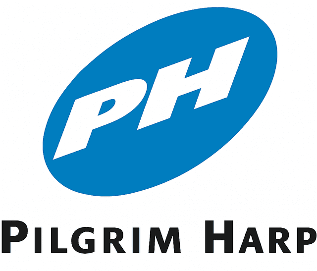Pilgrim Harp