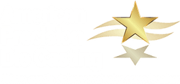 American Precision Die Casting