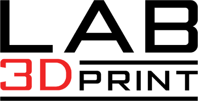 Lab 3D Print Lab 3D Print