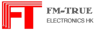 FM-TRUE ELECTRONICS (HK) LTD