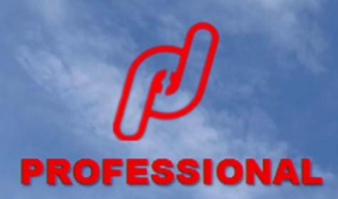 Professional Tools And Dies Sdn Bhd Professional Tools And Dies Sdn Bhd