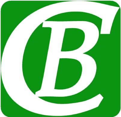 Bicheng Electronics Technologies Limited Bicheng Electronics Technologies Limited