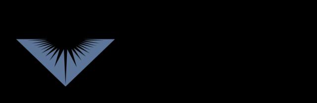 NPI SERVICES NPI SERVICES