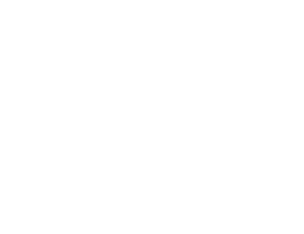 PSIBORG PSIBORG