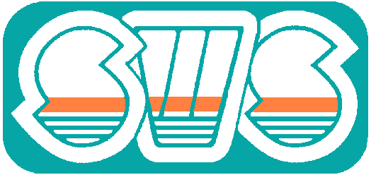 SWS-PLASTICS AG SWS-PLASTICS AG