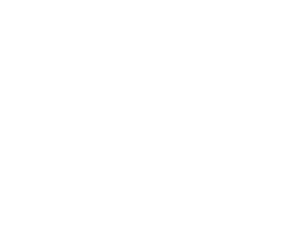 PA.VI.PLAST. S.A. PA.VI.PLAST. S.A.