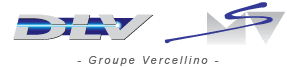 Dlv Groupe Vercellino Dlv Groupe Vercellino