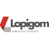 Lopigom Spa Lopigom Spa